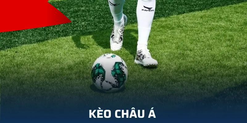 Hướng dẫn đọc kèo châu Á New88